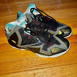 Lebron 11 Kings Pride sz13